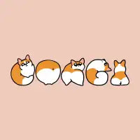 Corgi - design