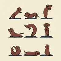 Dachshund Yoga - design