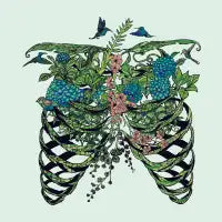 Daydreamer - design