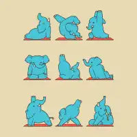 ELEPHANT YOGA - design