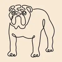 English Bulldog Line Minimal - design