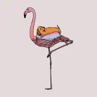 Flamingo and Dachshund - design