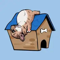 French Bulldog House - design