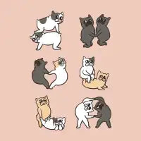 Frenchie Couple Poses - design