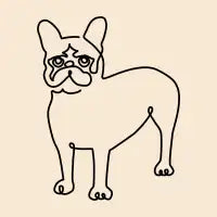 Frenchie Line Minimal - design