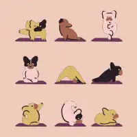 Frenchie Yoga Minimal - design