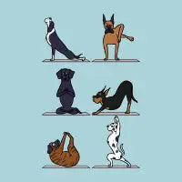 Great Dane Yoga - design