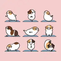 Guinea Pig Yoga - design