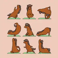 Horse Yoga - design