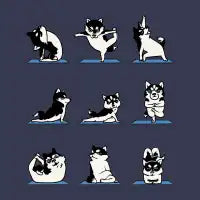 Husky Yoga - design