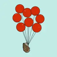 I Believe I Can Fly Hedgehog - design