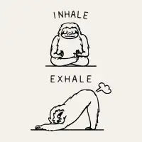INHALE EXHALE SLOTH - design