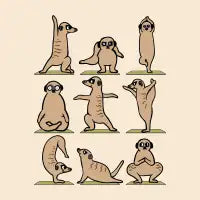 Meerkat Yoga - design