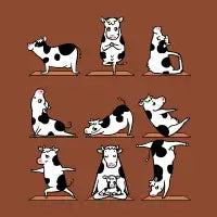 Moo Yoga - design