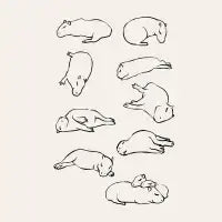 More Sleep Capybara - design
