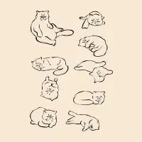 More Sleep Exotic Shorthair Cat - design