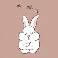 NAMASTE Rabbit - design