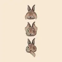 No Evil Bunny - design