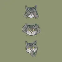 No Evil Cat - design