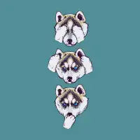 NO EVIL HUSKY - design