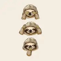 NO EVIL SLOTH - design