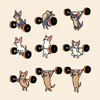 Olympic Lifting Chihuahua - design