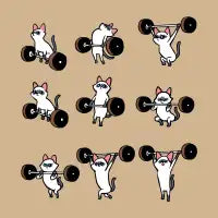 Olympic Lifting Siamese Cat T-Shirt - design