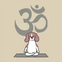 Om Beagle - design