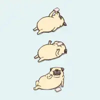 Phone Drop Pug - design