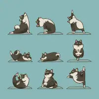 Pomsky Yoga - design