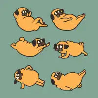 Pug Abs Workout - design