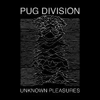Pug Division - design