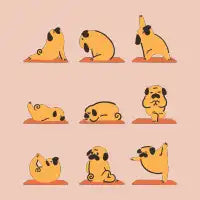 Pug Yoga Minimal - design