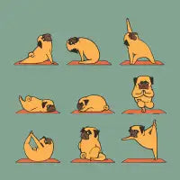 Pug Yoga - design