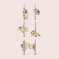 Pugs Pole Dancing Club - design