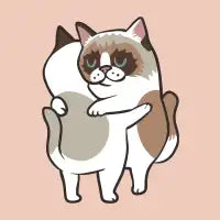 Ragdoll hugs T-Shirt - design