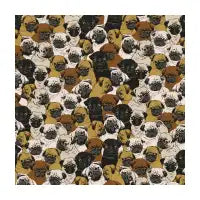 Social Pug - design