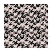 Social Siamese Cat Fine Art Print - design