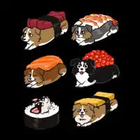 Sushi Border Collie - design