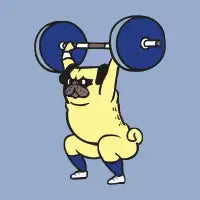 The snatch weightlifting Pug - design