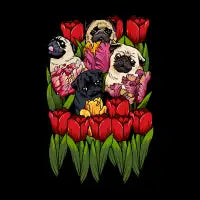 Tulip Pug - design