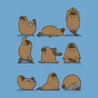 Walrus Yoga T-Shirt - design