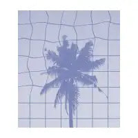 PALM - design