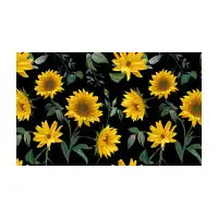 Sunflowers - design