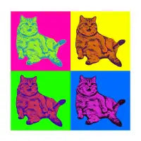 POP! CAT - design