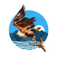 Eagles Fly - design