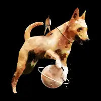 Wandering Dog - design