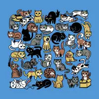 Cats, Cats and More Cats - design