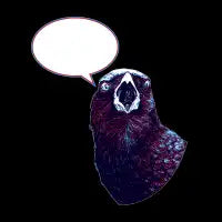 This Crow Yells What You Write - design