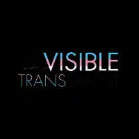 Visible - dark - design